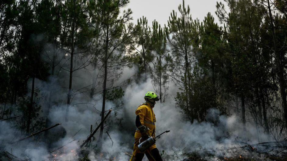 Eyes in the Forest: How AI Cameras Are Changing the Way Europe Fights Wildfires — wildfires, artificial intelligence, France
