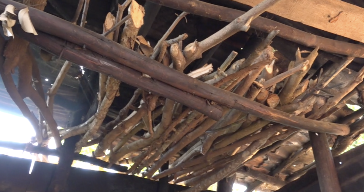 From Wet Wood to Warm Meals: The Ancient Kitchen Trick That Uganda's Grandmothers Never Forgot