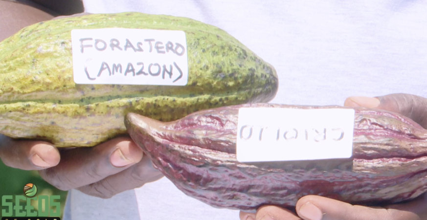 How a Farm Clinic in Lira Is Changing the Way Uganda's Farmers Grow, Manage, and Get Paid