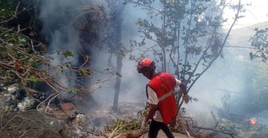 Seven Lives Lost Over Samburu: Ecuador's Spy Chief, His Wife, and Five Americans Die in Kenya Helicopter Crash