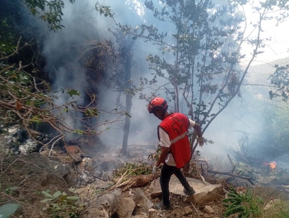 Seven Lives Lost Over Samburu: Ecuador's Spy Chief, His Wife, and Five Americans Die in Kenya Helicopter Crash