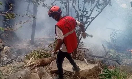 Seven Lives Lost Over Samburu: Ecuador's Spy Chief, His Wife, and Five Americans Die in Kenya Helicopter Crash 10 Seven Lives Lost Over Samburu: Ecuador's Spy Chief, His Wife, and Five Americans Die in Kenya Helicopter Crash — Kenya helicopter crash, Michele Sensi-Contugi, Ecuador intelligence chief