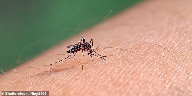 Florida's Dengue Crisis: How a Tropical Disease Is Taking Root in America's Sunshine State — Dengue Fever, Florida Health Crisis, Mosquito-Borne Disease