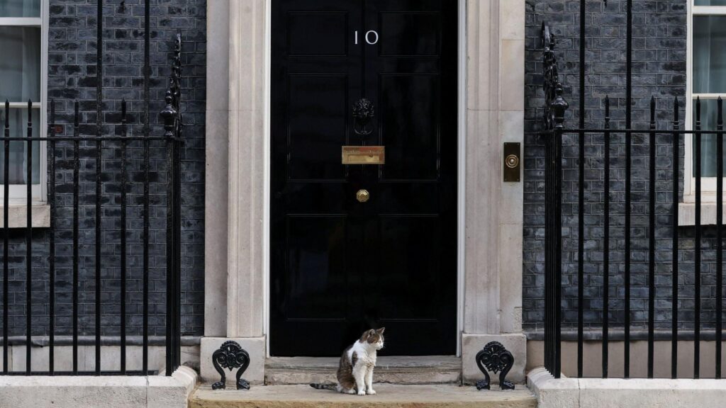 How Researchers Booked a Fake Stay at 10 Downing Street on Booking.com, and What It Reveals About Online Travel Safety — Booking.com, Which?, online travel fraud