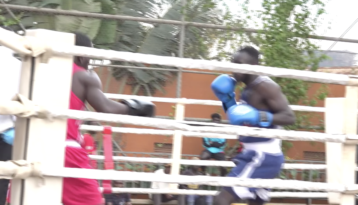 Uganda's Hungriest Young Boxers Converge on Kampala for National Novices Championship Finals
