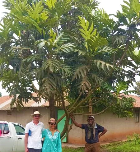 Before the Harvest Comes the Nursery: Why Smart Farmers Start Here — food nursery, Seeds of Gold, Uganda farming